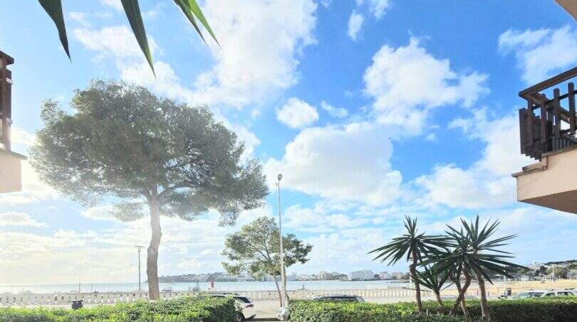 Outdoor area of the apartment in Palmanova with sea view, green space and beach promenade under blue sky.