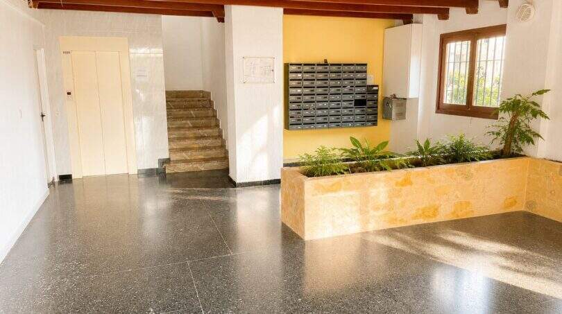 Helles Eingangsfoyer des Penthouse mit Briefkästen, Treppe, Aufzug, Holzbalkendecke und Bepflanzung in Cala Major.