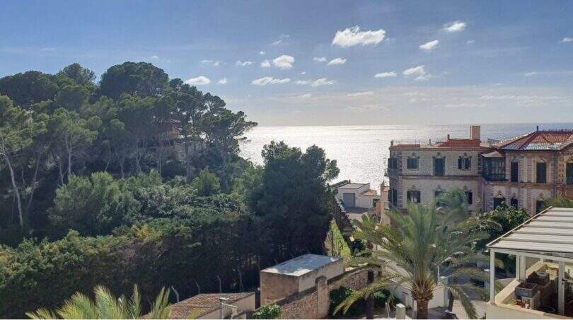 Panoramablick vom Penthouse-Loft in Palma: üppige Pinien, historische Villa und glitzerndes Mittelmeer.