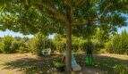 Área sombreada del jardín de la Finca con un gran árbol, columpios infantiles y tobogán en Lloret de Vistalegre