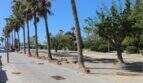 Strandnahe Promenade mit Palmen und Grünanlagen in Palma de Mallorca, fußläufig zum Meer