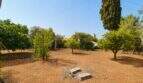 Weitläufiger Garten der Finca mit Obstbäumen, Zypresse und trockenem Naturboden nahe Palma de Mallorca.
