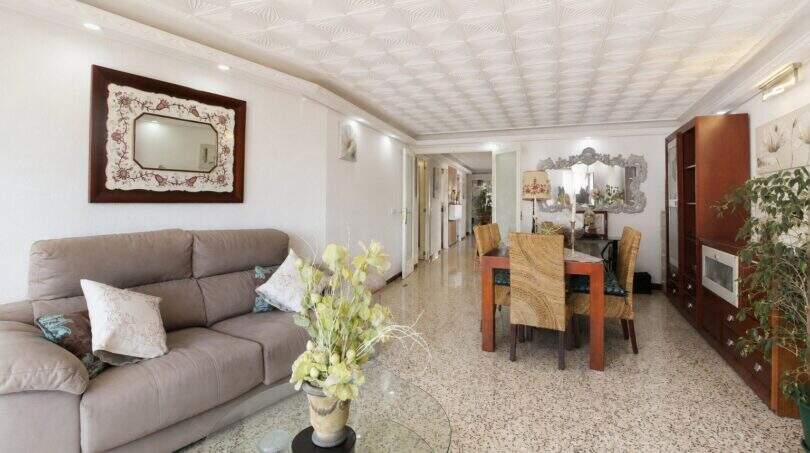 Helles Wohnzimmer mit Ledersofa, Esstisch und dekorativem Stuck-Deckenornament in Palma de Mallorca