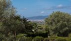 Gepflegter Garten der Villa in Marratxí mit Palmen, Olivenbäumen und Panoramablick auf die Stadt und Berge.