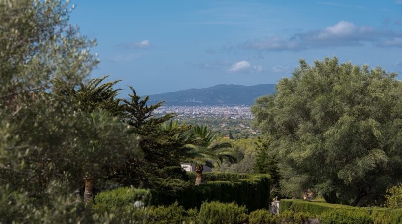 Gepflegter Garten der Villa in Marratxí mit Palmen, Olivenbäumen und Panoramablick auf die Stadt und Berge.