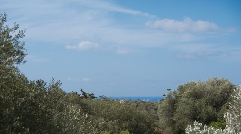 Panoramablick über Olivenhaine auf das Meer bei Marratxí, typische mediterrane Landschaft der Villa.