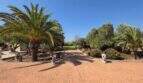 Gepflasterte Einfahrt mit Palmen, Löwenskulpturen und roter Stierfigur im mediterranen Garten der Finca S'Illot
