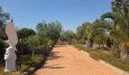 Einfahrt der Finca S'Illot mit Adlerskulptur, Palmen und gepflastertem Weg zum Anwesen