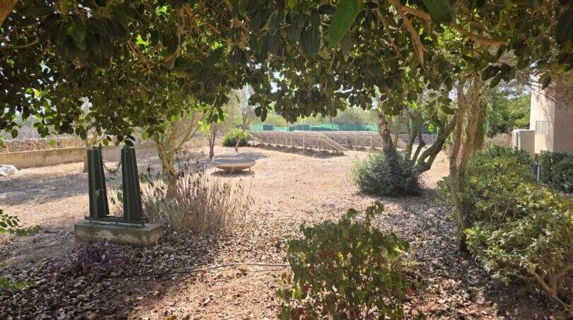 Mediterraner Garten der Finca S'Illot mit alten Bäumen, trockenem Boden und Blick auf Tennisplatz