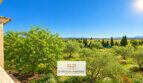 Panoramablick auf Olivenhaine, Felder und Tramuntana-Gebirge der Finca Santa Maria del Camí nahe Palma
