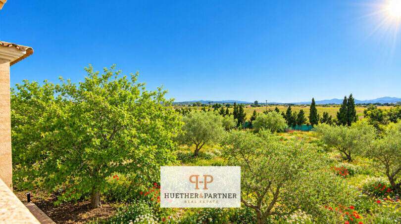 Panoramablick auf Olivenhaine, Felder und Tramuntana-Gebirge der Finca Santa Maria del Camí nahe Palma