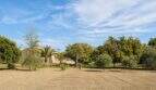 Weitläufiges Grundstück der Finca mit gepflügtem Feld, Obstbäumen, Palmen und Steinhaus in Palma de Mallorca.