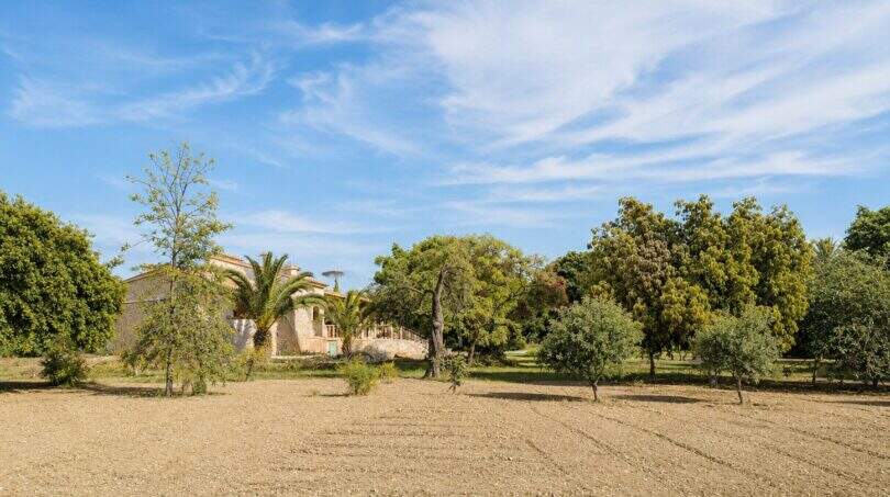 Weitläufiges Grundstück der Finca mit gepflügtem Feld, Obstbäumen, Palmen und Steinhaus in Palma de Mallorca.