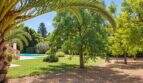Weitläufiger Garten der Finca in Palma mit Palmen, Swimmingpool und gepflegtem Rasen unter blauem Himmel.