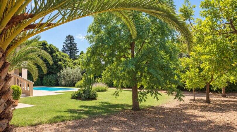 Weitläufiger Garten der Finca in Palma mit Palmen, Swimmingpool und gepflegtem Rasen unter blauem Himmel.