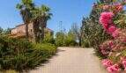 Zufahrtsweg zur Finca mit Palmen, Oleander und mediterranem Grün in Palma de Mallorca