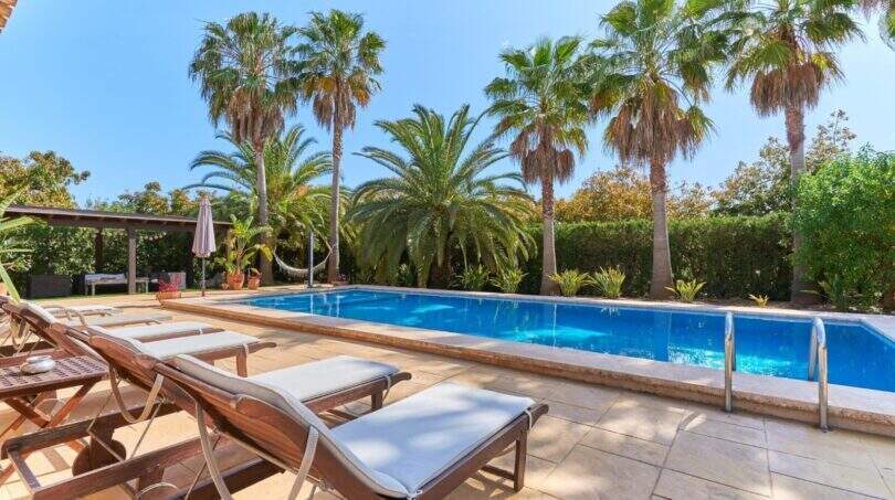 Großer Außenpool mit Sonnenliegen und Palmen der Finca in Palma de Mallorca