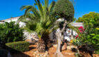Mediterranean garden of the sea view villa in Cala Murada with palm trees, olive tree and lush vegetation