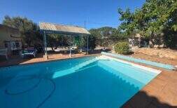 Außenpool der Finca in Cala Millor mit Sonnenterrasse, Pergola und üppigem Grün bei blauem Himmel.