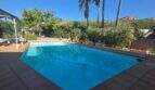 Private pool of the finca in Cala Millor, surrounded by palms and Mediterranean vegetation with mountain view.