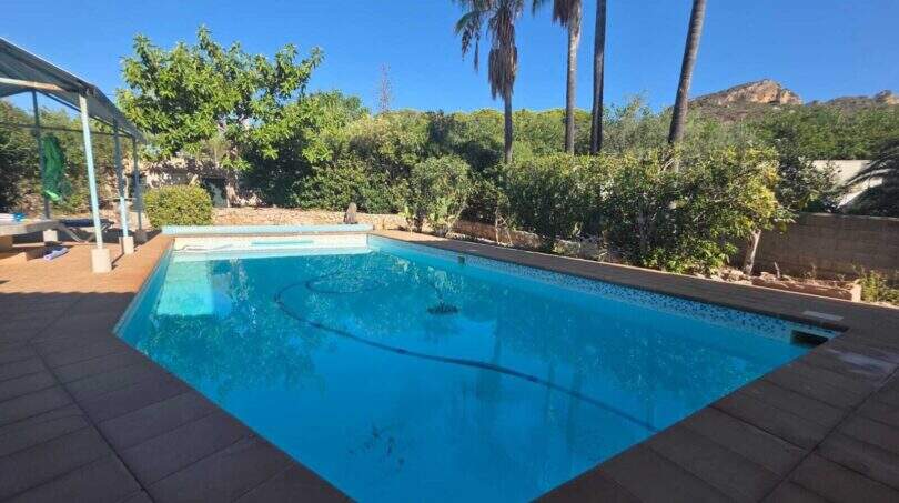 Private pool of the finca in Cala Millor, surrounded by palms and Mediterranean vegetation with mountain view.