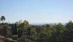 Panoramic view from the finca over palm trees and vegetation to the Mediterranean Sea near Cala Millor