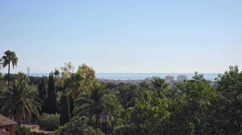 Panoramic view from the finca over palm trees and vegetation to the Mediterranean Sea near Cala Millor