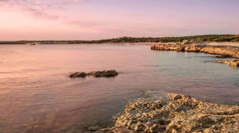 Felsige Meeresküste bei Sonnenuntergang mit ruhigem Wasser, Blick auf Ses Salines, Mallorca