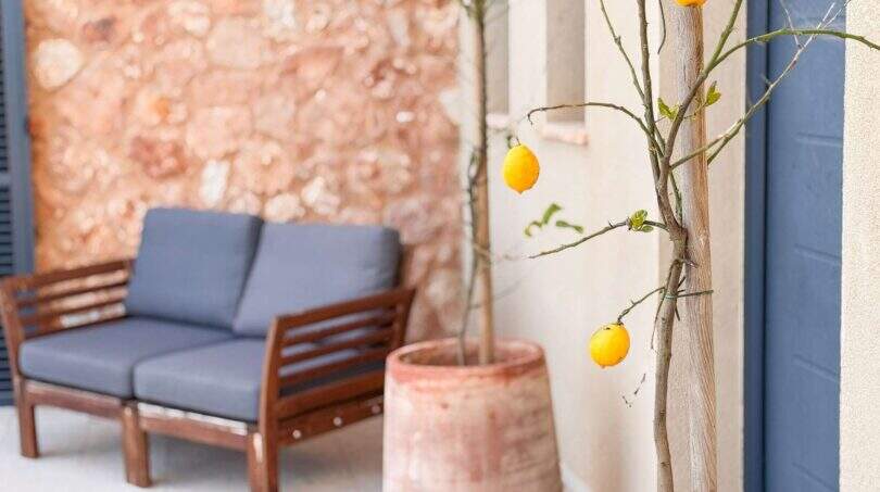 Mediterraner Außenbereich mit Zitronenbaum, Lounge-Möbeln und rustikaler Steinmauer der Luxusfinca in Ses Salines.