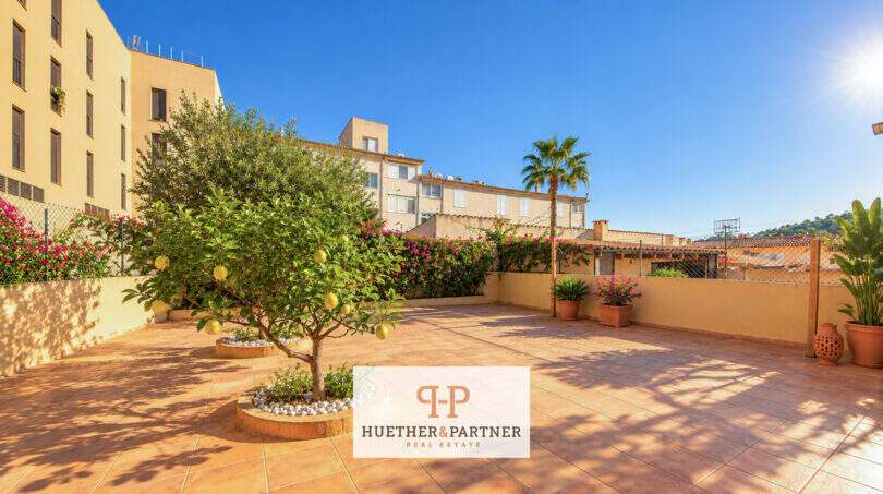 Patio trasero IA Staging