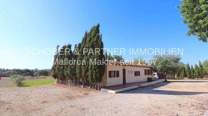Exterior view of a well-maintained finca in Son Carrió with cypress trees, spacious grounds and blue sky.