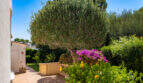 Mediterrane Gartenoase mit Olivenbaum, Bougainvillea und Hibiskus an der Villa in Cala Murada.