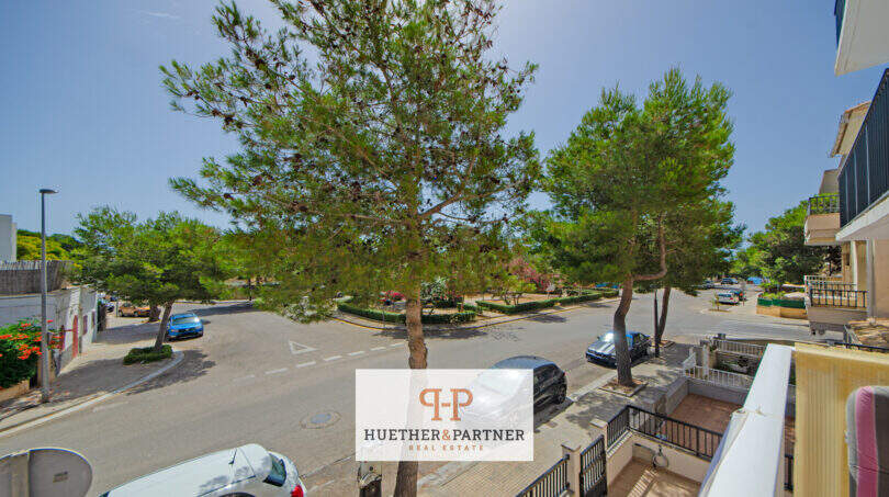 Vista del balcón a calle residencial tranquila con grandes pinos en Porto Cristo, Mallorca – ubicación cerca de la playa