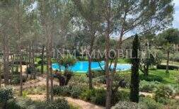 Vista de la piscina comunitaria ovalada del complejo Es-Pinar en Bendinat, rodeada de pinos y áreas verdes bien cuidadas.