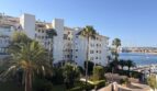 Außenansicht Apartment Palmanova: weiße Mehrfamilienhäuser mit Palmen, Meerblick und Hafen bei blauem Himmel.