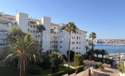 Außenansicht Apartment Palmanova: weiße Mehrfamilienhäuser mit Palmen, Meerblick und Hafen bei blauem Himmel.