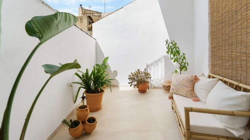 Soleada terraza de azotea con paredes blancas, sofá de bambú, macetas de terracota y plantas de la casa urbana en Felanitx