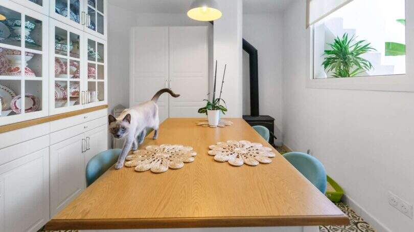 Comedor con mesa de madera, sillas azules, aparador blanco y gato sobre la mesa en la casa urbana de Felanitx