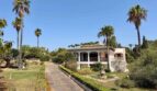 Außenansicht der Retro-Villa in Porto Cristo mit geschwungener Einfahrt, Palmen und mediterraner Fassade.