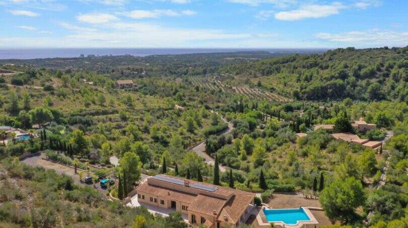 DJI_0262 (1)