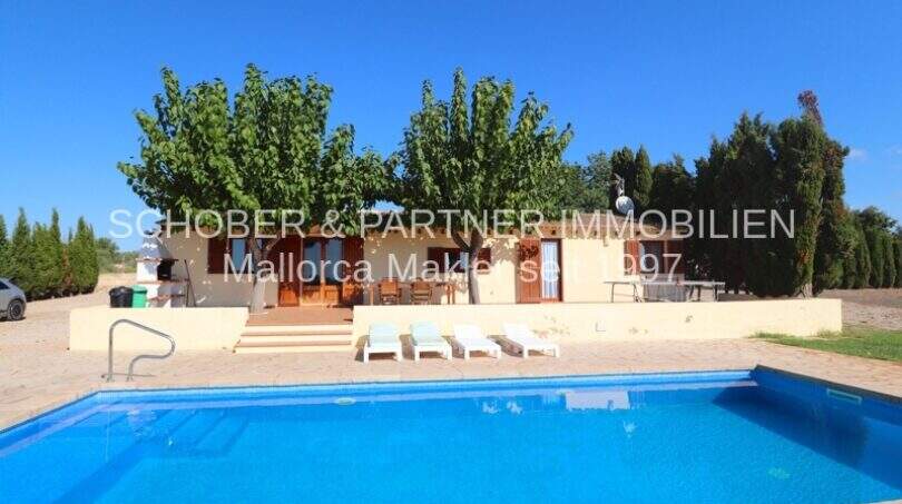 Finca in Son Carrió with large pool, sun loungers, terrace and shade-providing trees under blue sky.