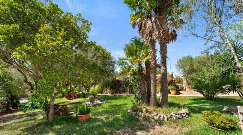 Weitläufiger Garten der Finca Algaida mit Palmen, Olivenbäumen, Holzbank und roter Hängeschaukel