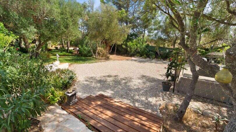 Naturnaher Garten der Finca Algaida mit Holzdeck, Kiesfläche und alten Olivenbäumen auf 14.206 m²