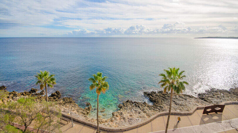 Meerblick-Promenade in Cala Millor mit Palmen, türkisem Wasser und felsiger Küste, fußläufig zur Wohnung.