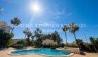 Piscina comunitaria con palmeras y jardín cuidado del apartamento de 4 habitaciones en Cala Millor