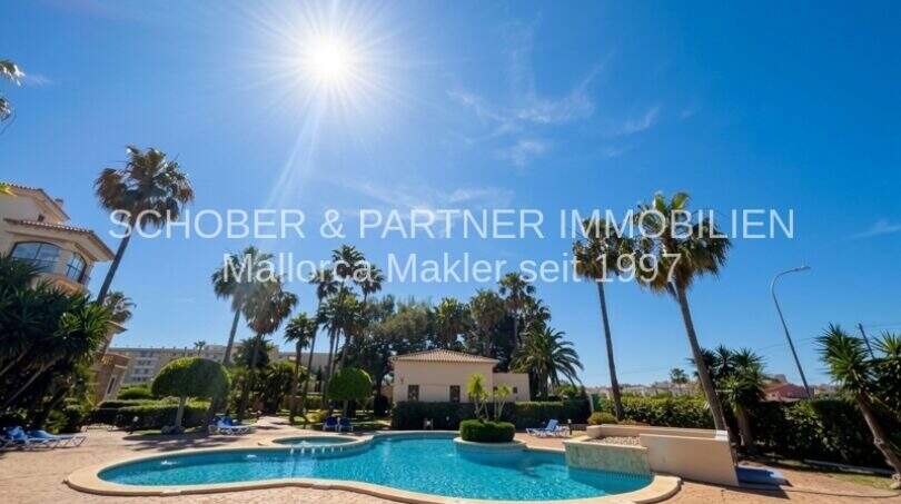 Piscina comunitaria con palmeras y jardín cuidado del apartamento de 4 habitaciones en Cala Millor