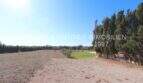 Spacious grounds of the finca in Son Carrió with gravel path, cypress trees and clear sky.