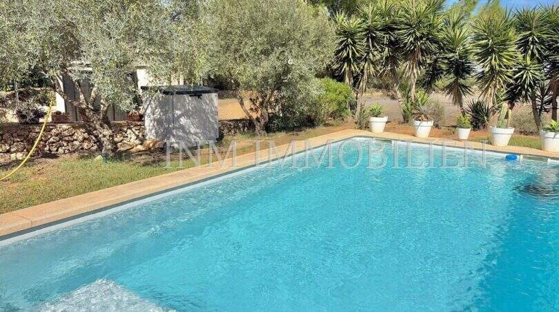 Privater Pool der mediterranen Finca bei Algaida, umgeben von Olivenbäumen, Palmen und gepflegten Gartenanlagen.