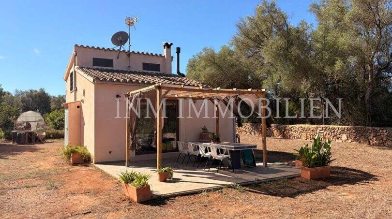 Außenansicht einer mediterranen Finca in Algaida mit Pergola, Terrasse und Olivenbäumen unter blauem Himmel.