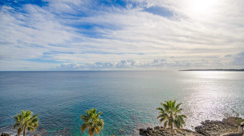 Meerblick vom Penthouse in Cala Millor mit türkisblauem Wasser, Palmen und felsiger Küste unter sonnigem Himmel.